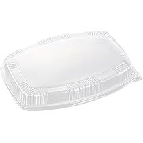 Amazon.co.jp: 中央化学 日本製 使い捨て容器 DXオードブル E小判440